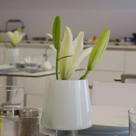 The 8 Boutique Bed & Breakfast Barcelona